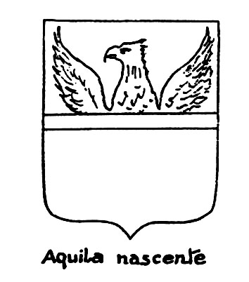 Imagen del término heráldico: Aquila nascente